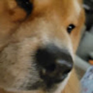 Meet your Posher, Cadence